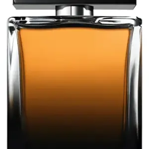 Perfume Dolce & Gabbana The One Masculino 100ml Edp
