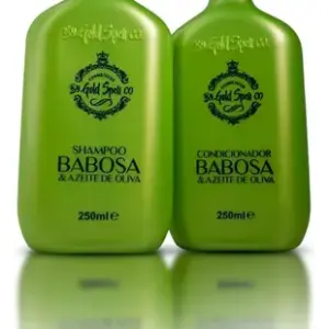 Kit Shampoo E Cond Babosa Azeite Oliva Gold Spell